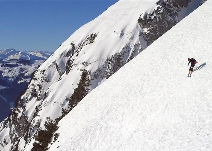 Oberachenhof 农家乐 *