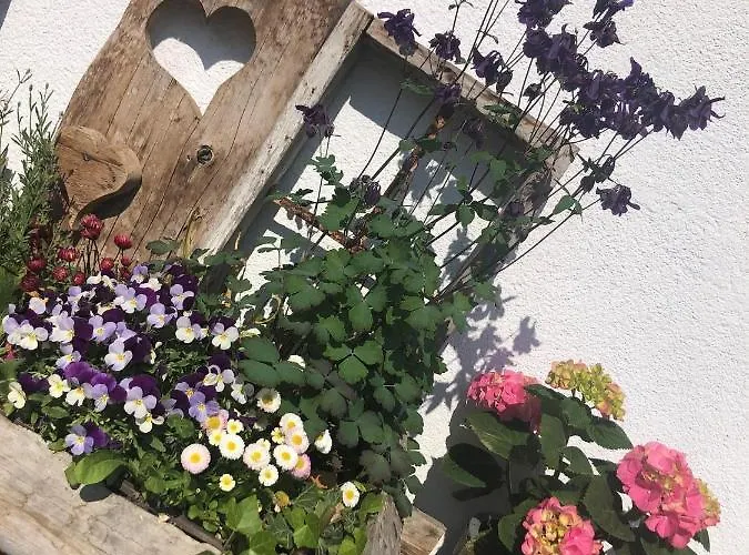 农家乐 Oberachenhof 埃尔毛