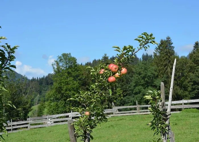 Bauernhof Oberachenhof