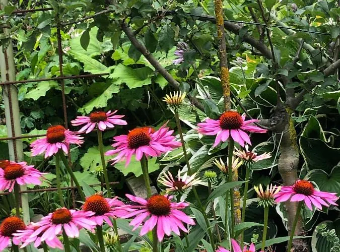 Bauernhof Oberachenhof Ellmau