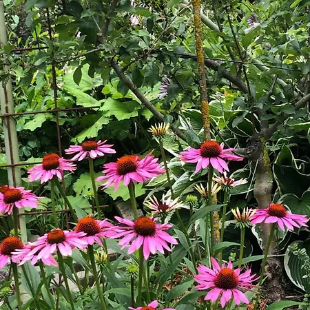 Farmház Oberachenhof Ellmau