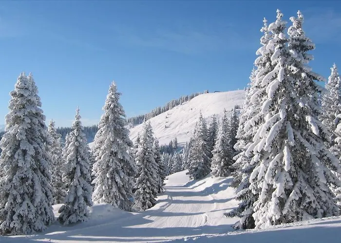 Bauernhof Oberachenhof *